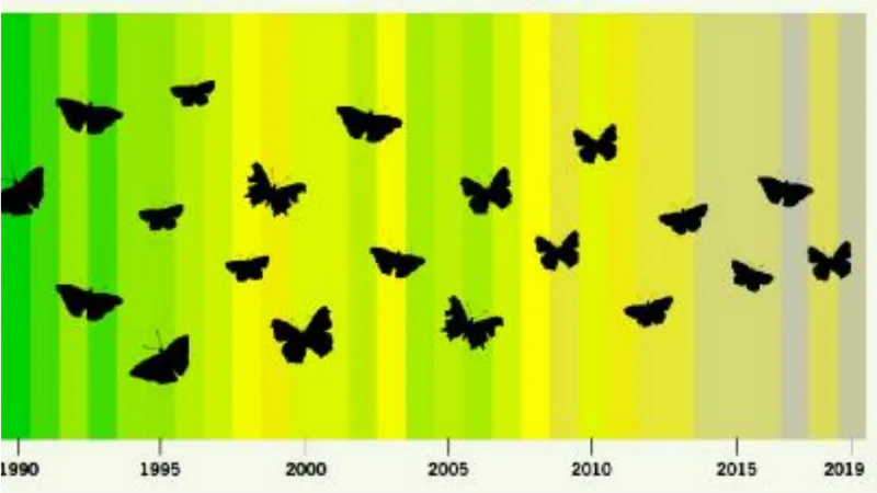 İngiltere’de kelebekler yüzde 80 azaldı