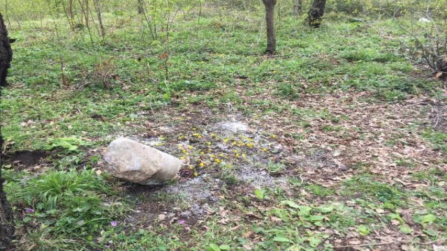 Bebek gömüldü sanıldı, kadınların mezarlıkta başında dua ettikleri çukurdan kedi ölüsü çıktı