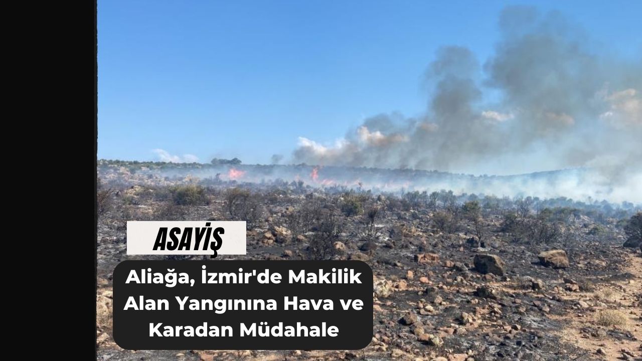 Aliağa, İzmir'de Makilik Alan Yangınına Hava ve Karadan Müdahale