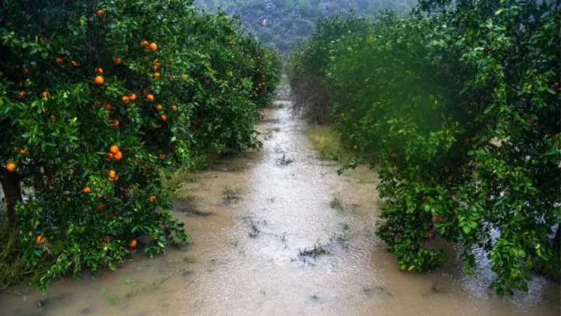 Antalya'da metrekareye 173 kilo yağmur, hızı 122 kilometreye ulaşan fırtına