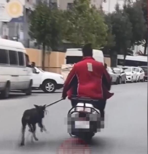 Bağcılar'da motosikletin yanında köpeği koşturan şüpheliye ceza