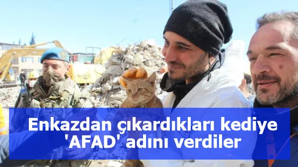 Enkazdan çıkardıkları kediye 'AFAD' adını verdiler