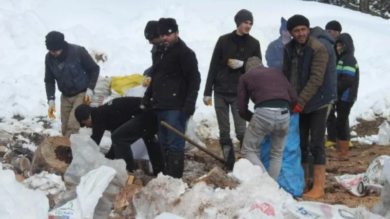 Toroslar'da köylüler ve jandarmanın kırdığı odunlar deprem bölgelerine gönderildi