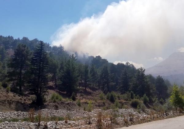 Antalya'da orman yangını