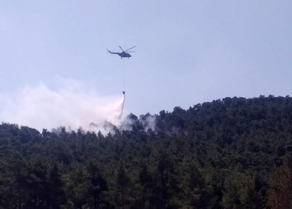 Düşen yıldırım yangına neden oldu; 2 hektar orman zarar gördü