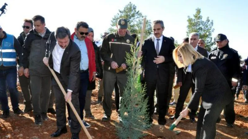 Muğla'da 250 bin fidan toprakla buluştu