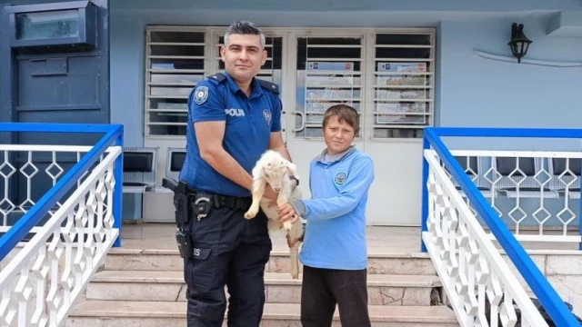 12 yaşındaki Aykut ile yavru keçi ’Saniye’yi, polis kavuşturdu