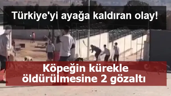 Türkiye'yi ayağa kaldıran olay! Köpeğin kürekle öldürülmesine 2 gözaltı