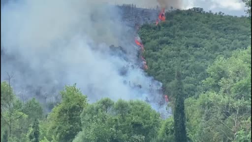 Kocaeli’de ormanlık alanda çıkan yangına müdahale sürüyor