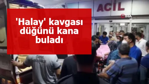 'Halay' kavgası düğünü kana buladı