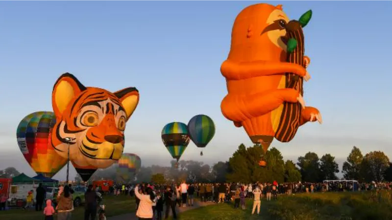 Yeni Zelanda’da uçan balon festivali başladı