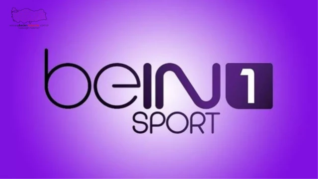 16 Haziran 2022 Bein sports 1 Yayın Akışı