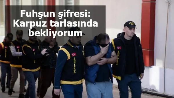 Fuhşun şifresi: Karpuz tarlasında bekliyorum