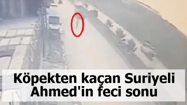 Köpekten kaçan Suriyeli Ahmed'in feci sonu