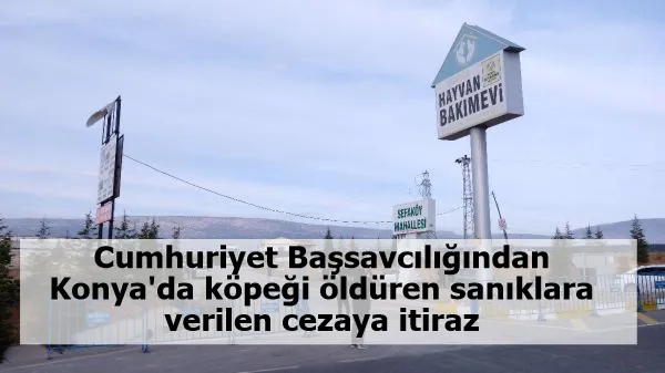 Cumhuriyet Başsavcılığından Konya'da köpeği öldüren sanıklara verilen cezaya itiraz