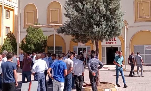 Nusaybin kırsalında odun toplayanlara silahlı saldırı: 1 ölü, 1 yaralı 