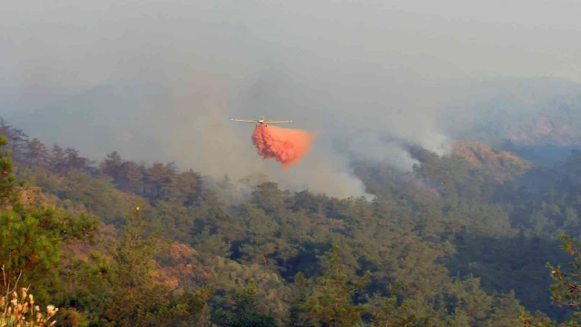 20 helikopter, 14 uçak ile müdahale başladı