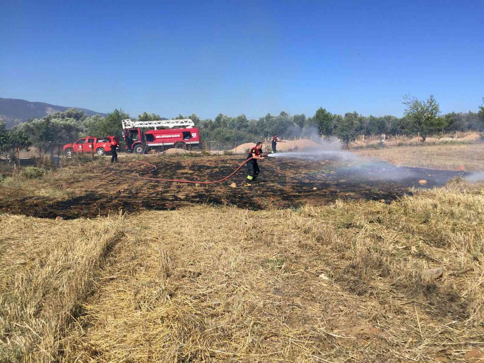 Muğla’da 6 ayda 385 anız yangını