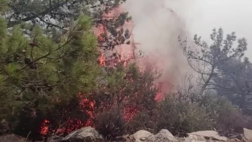 Datça’daki orman yangınına havadan ve karadan müdahale sürüyor