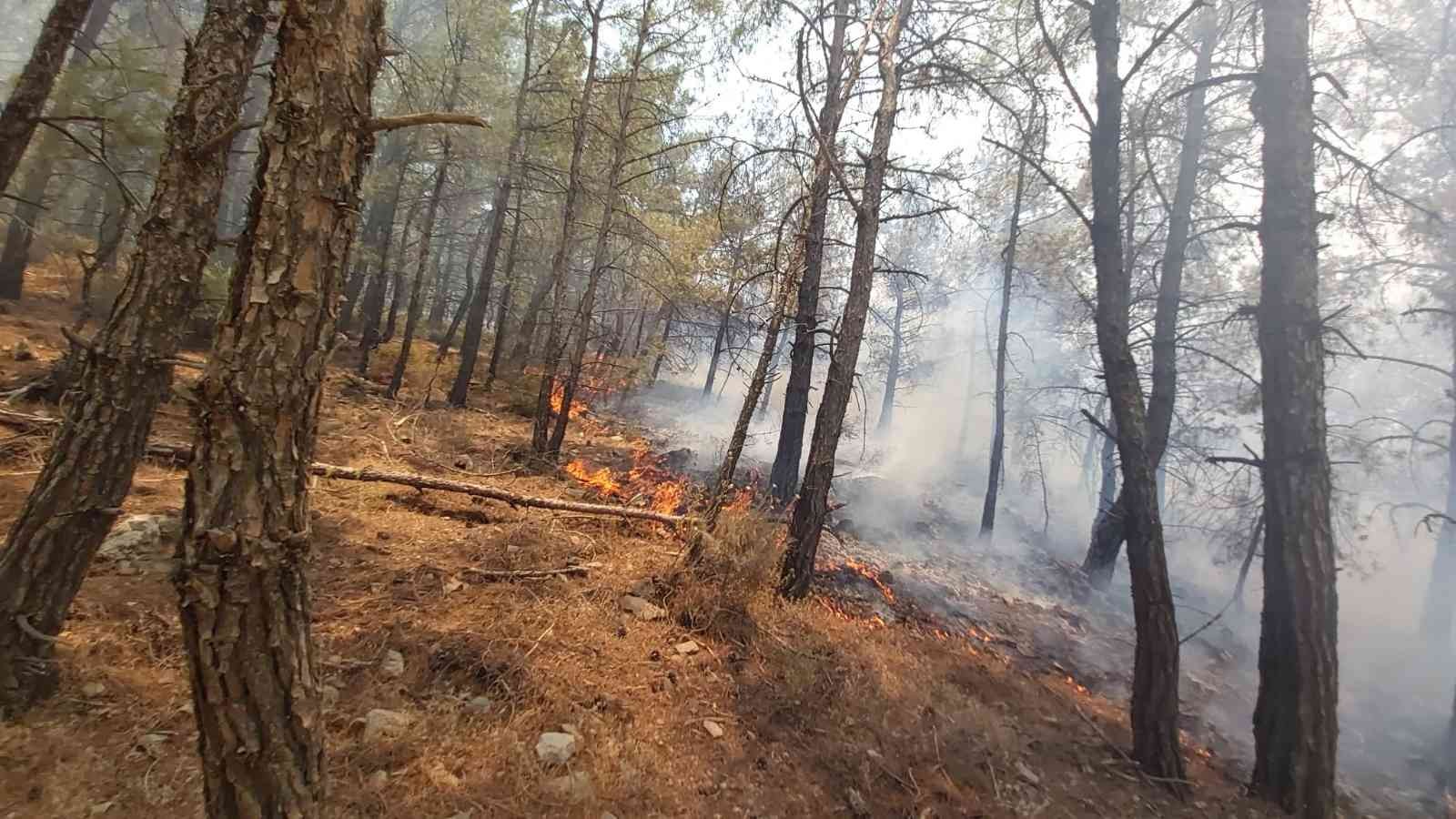 Muğla Valiliğinden Datça’daki orman yangını ile ilgili açıklama