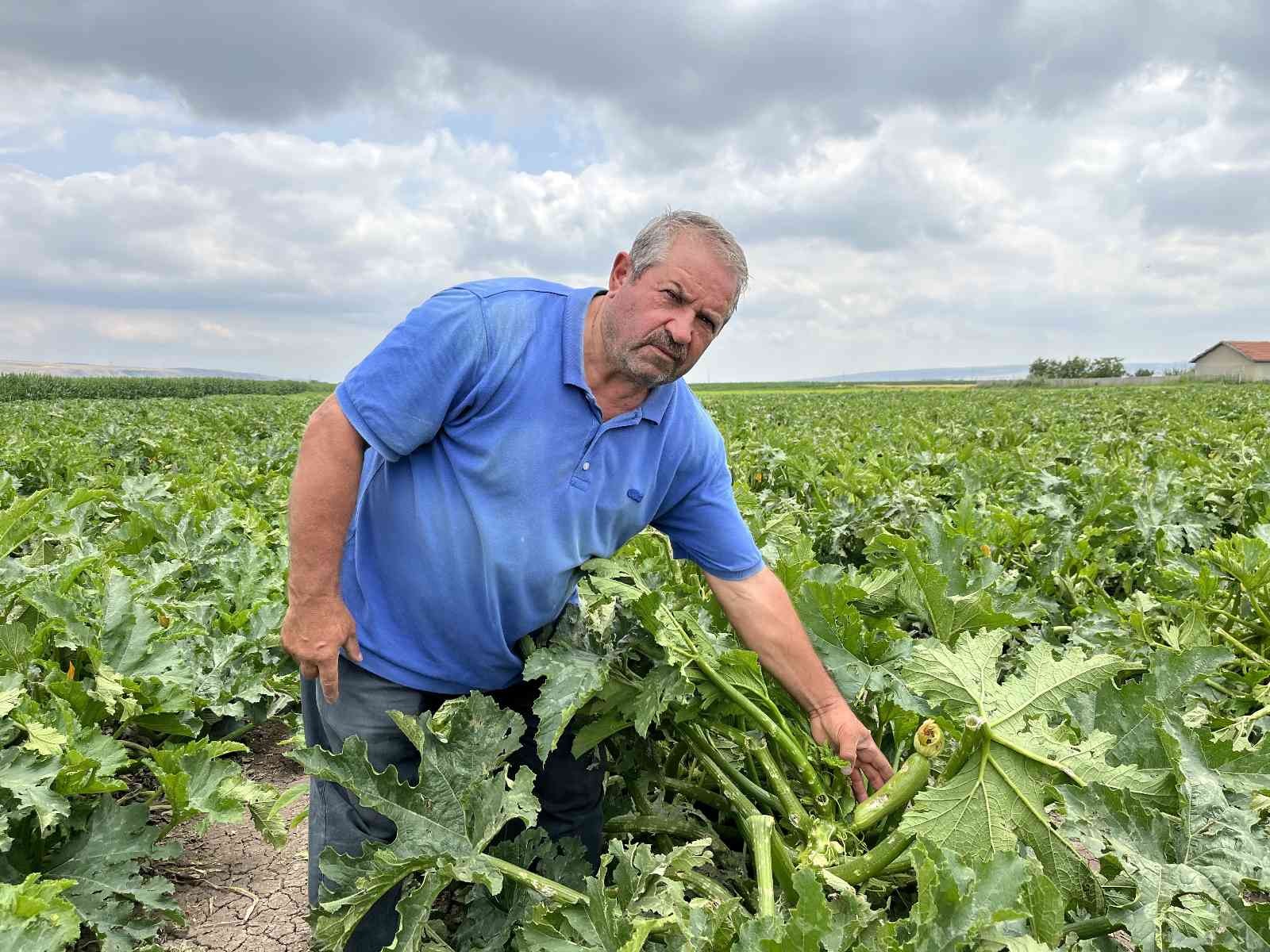 Şiddetli yağışlar çiftçinin bayramını adeta zehir etti