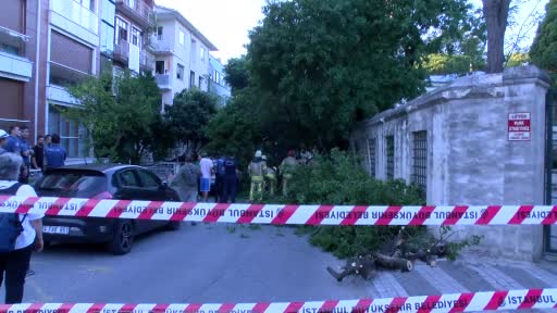 Üsküdar’da asırlık ağaç otomobilin üzerine devrildi