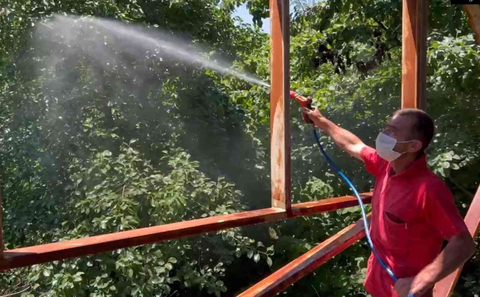 Ordu’da meyve dökülmelerine önlem