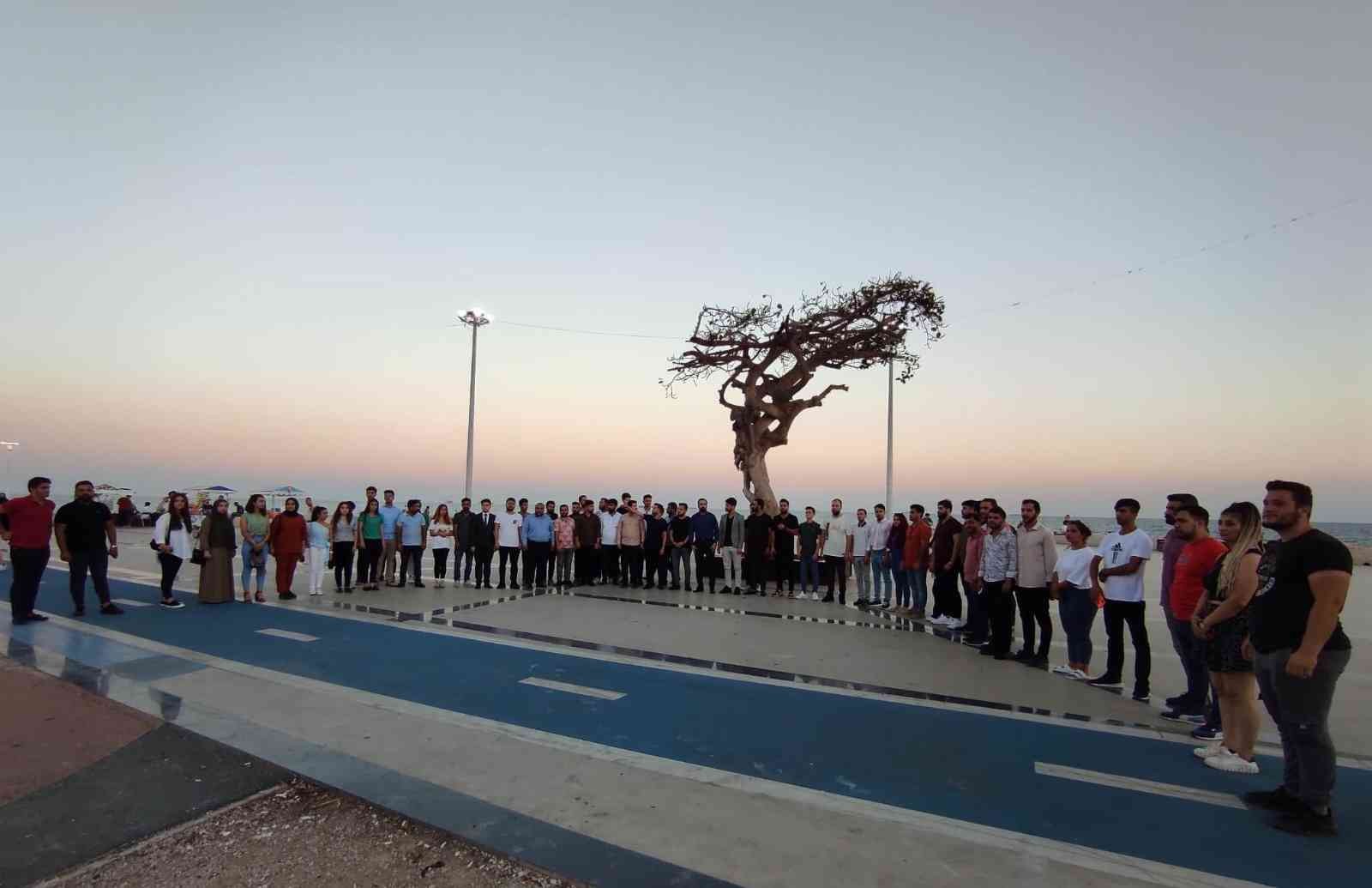 AK Partili gençlerden Mersin’deki ağaç katliamına tepki