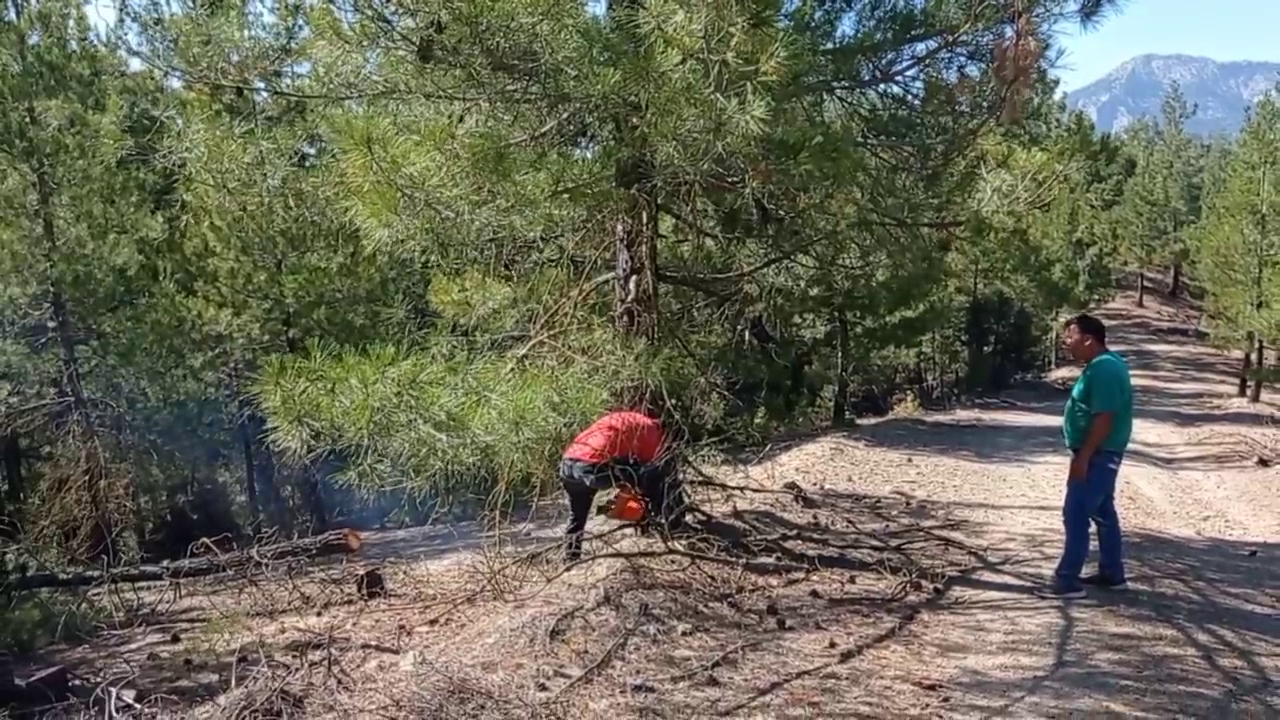 Adana’daki orman yangını