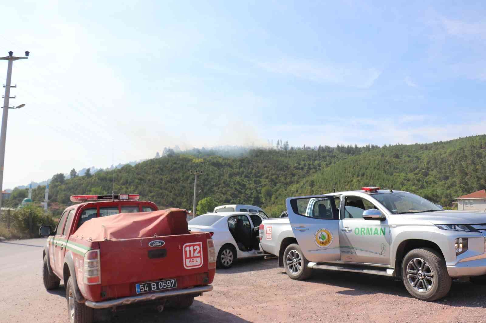 Sakarya’da ormanlık alanda yangın çıktı, çok sayıda ekip sevk edildi