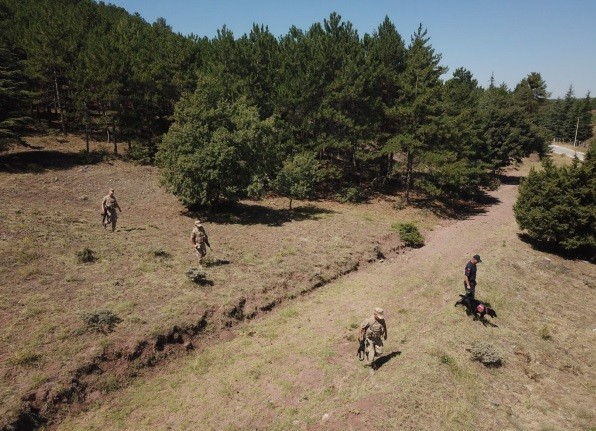 Jandarma yangınlara karşı teyakkuzda