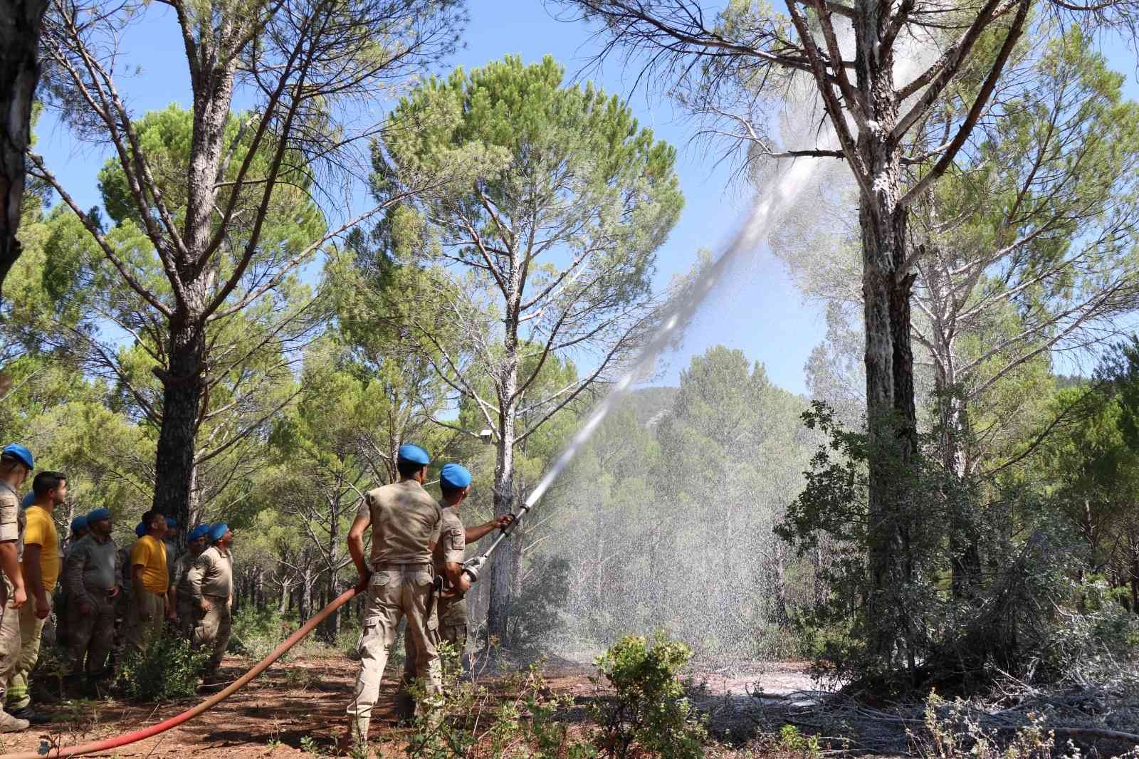 Jandarma ekipleri orman yangınlarına hazır