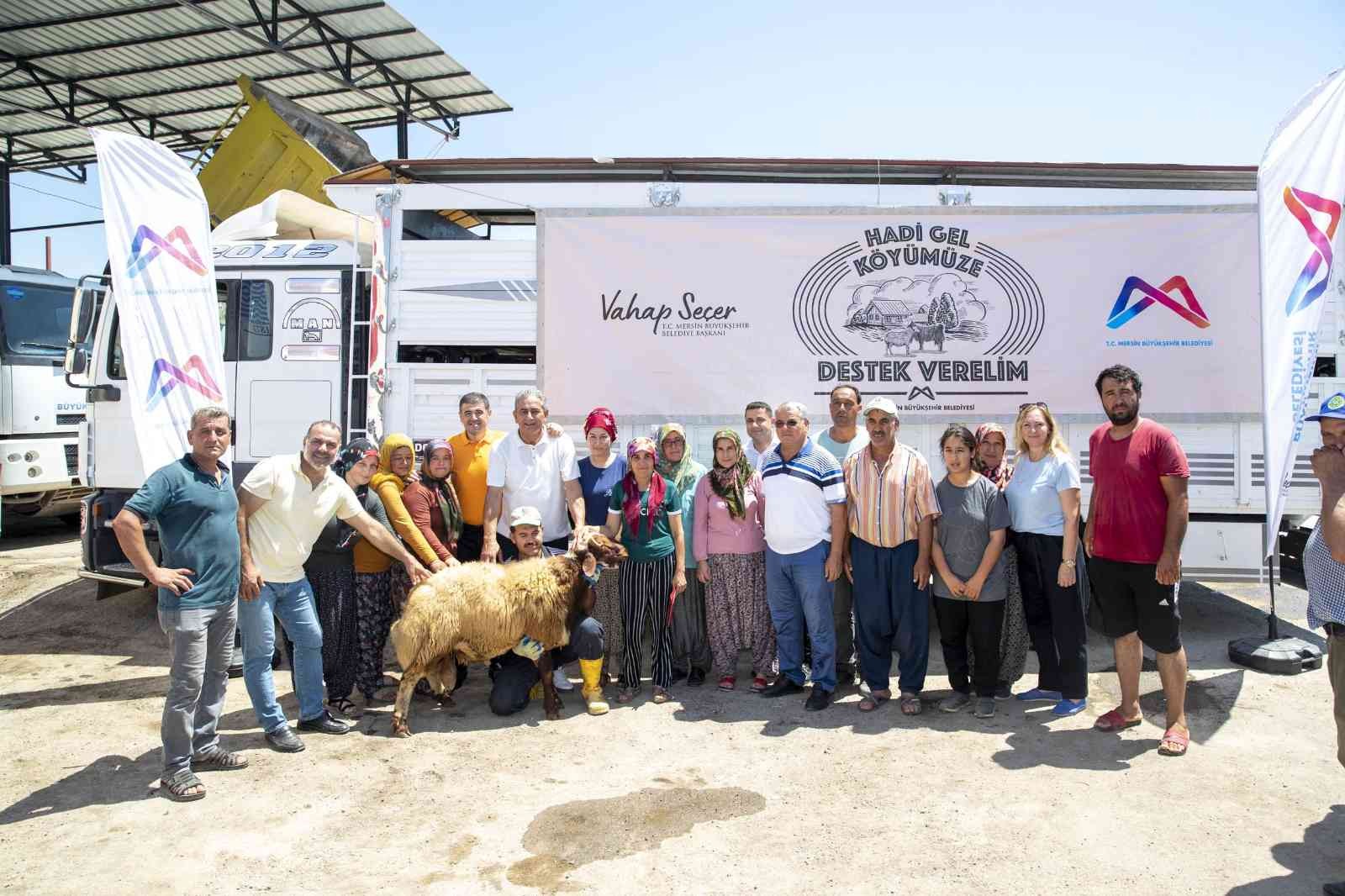 Mersin’de 18 yetiştiriciye 450 küçükbaş hayvan desteği