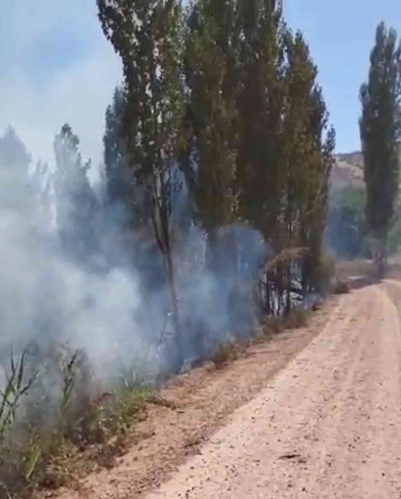 Ağaçlık alanda çıkan yangın korkuttu