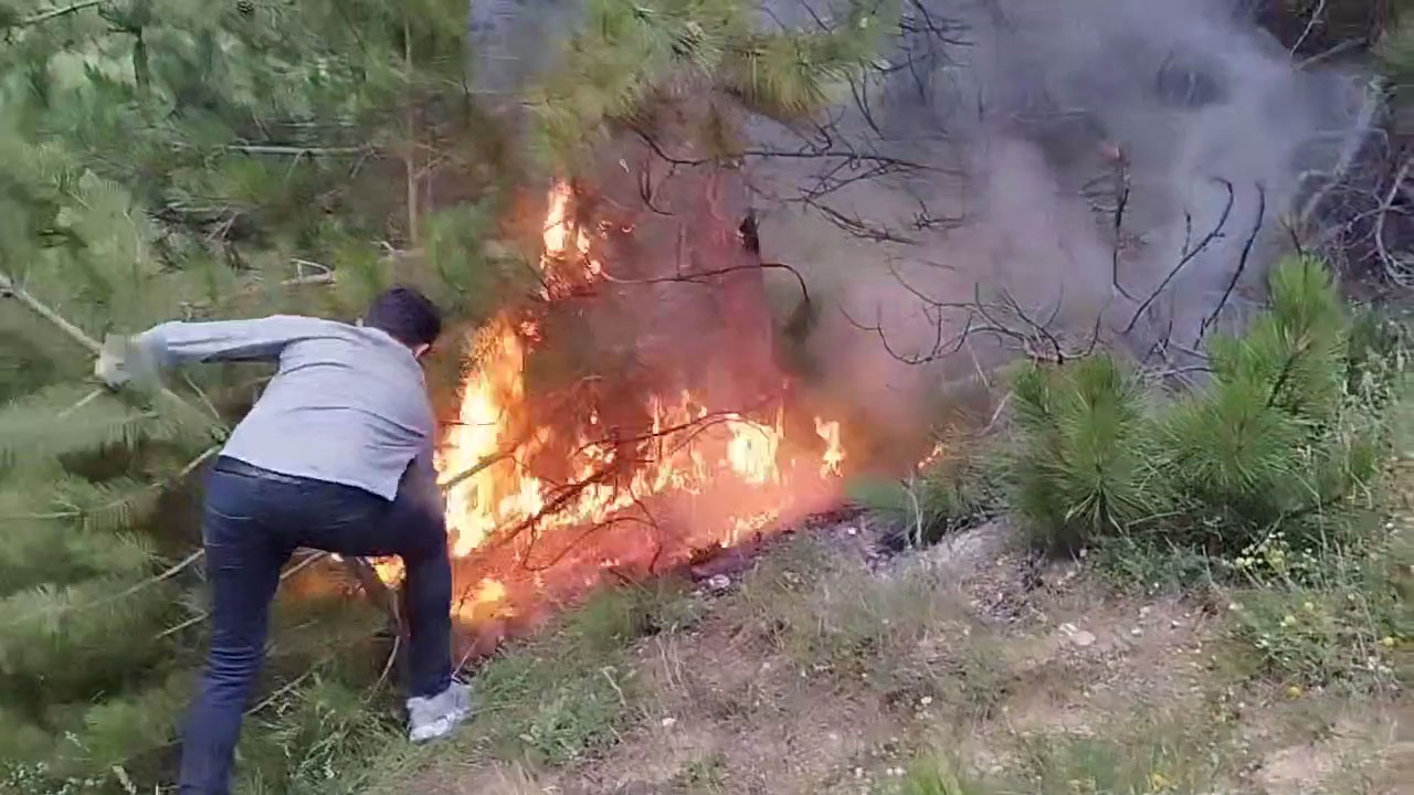 Uygulama yapan polislerin dikkati orman yangınını önledi