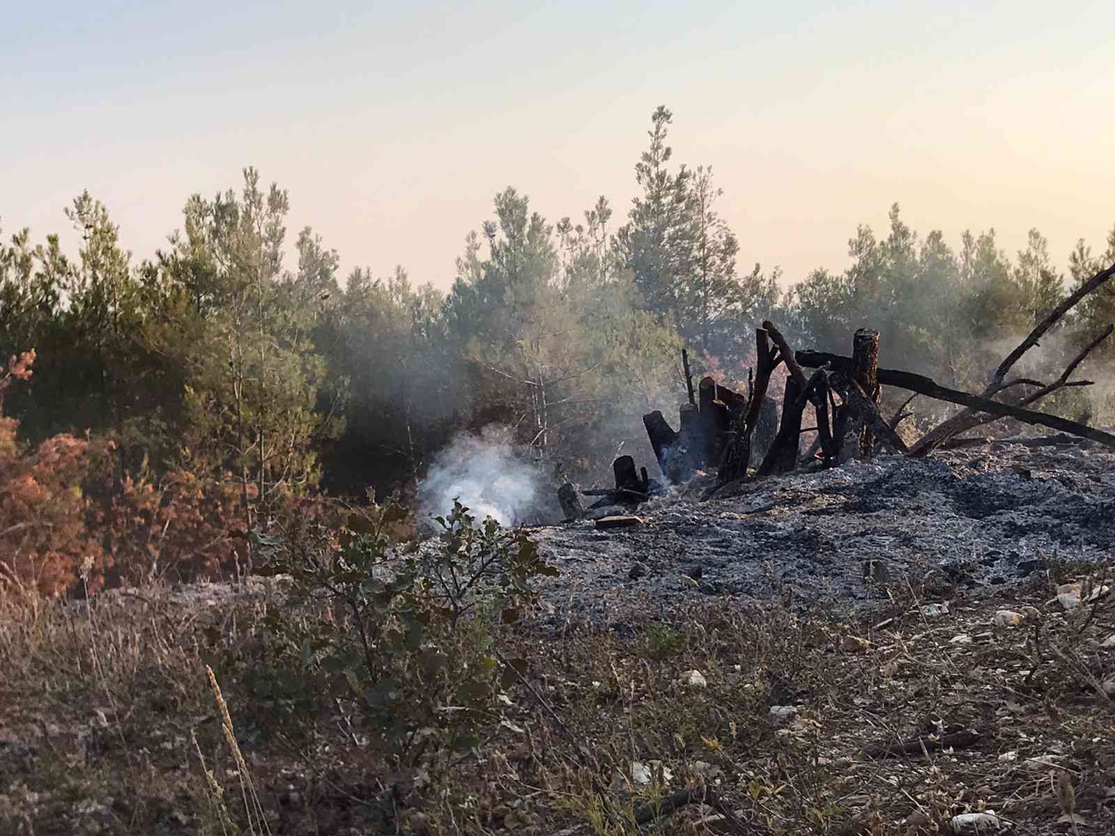 Ormanlık alandaki örtü yangını büyümeden söndürüldü