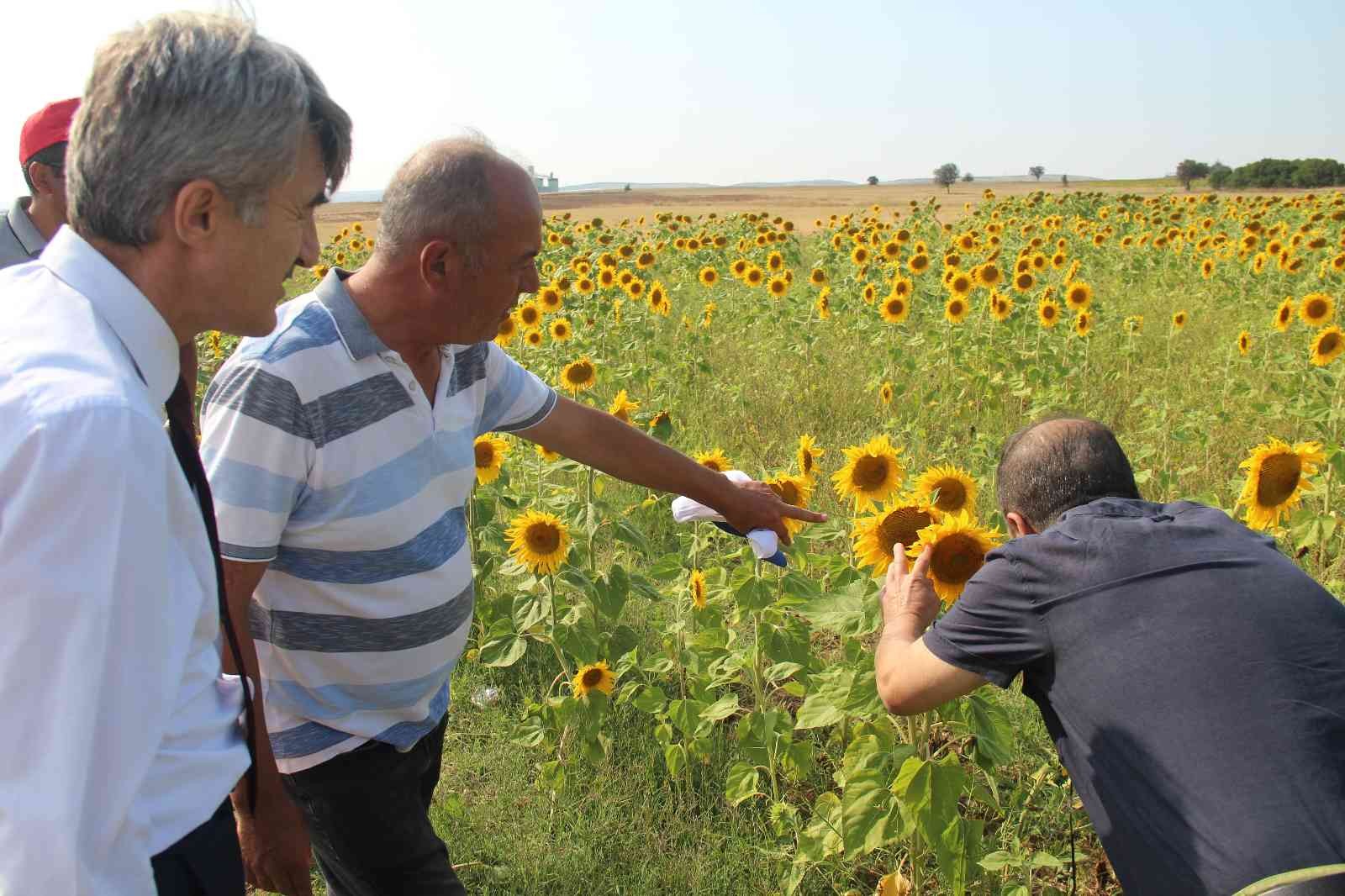 (ÖZEL) DPÜ üretim seferberliği başlattı