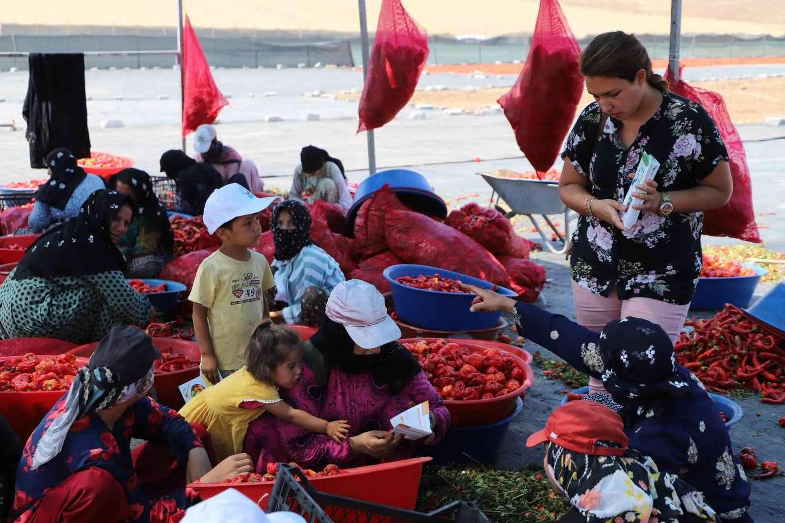 İsot mesaisi yapanlara güneş uyarısı