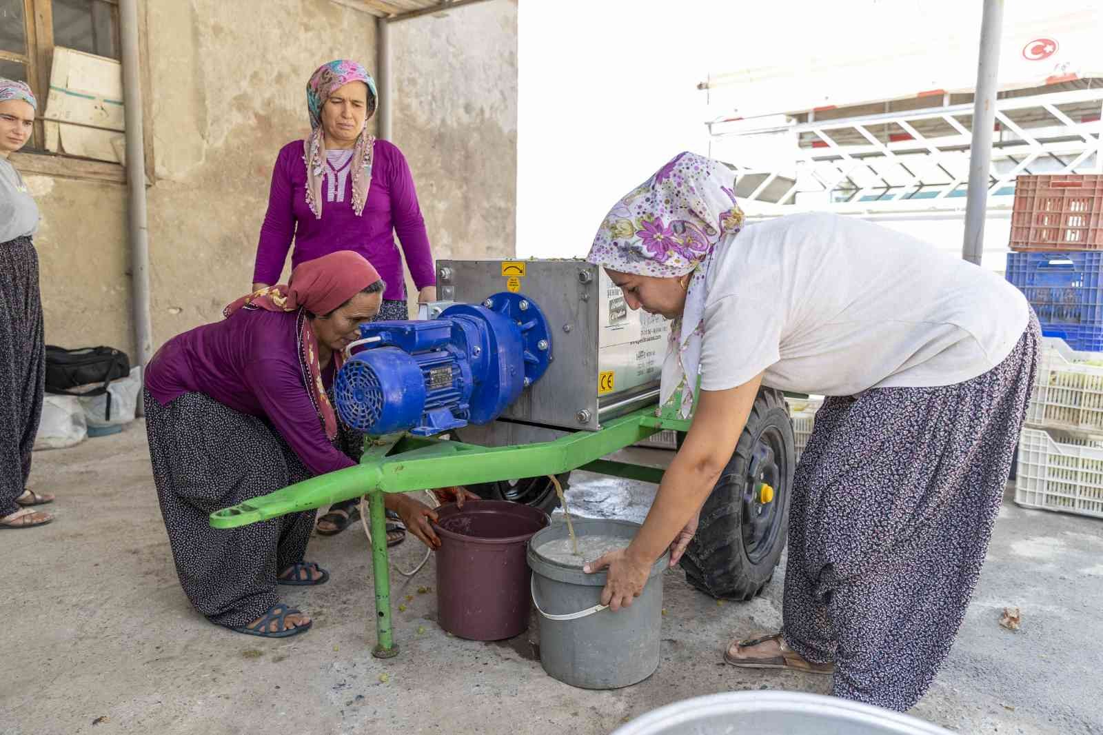 Üzüm sıkma makinesi hibesi üreticilerin yüzünü güldürüyor