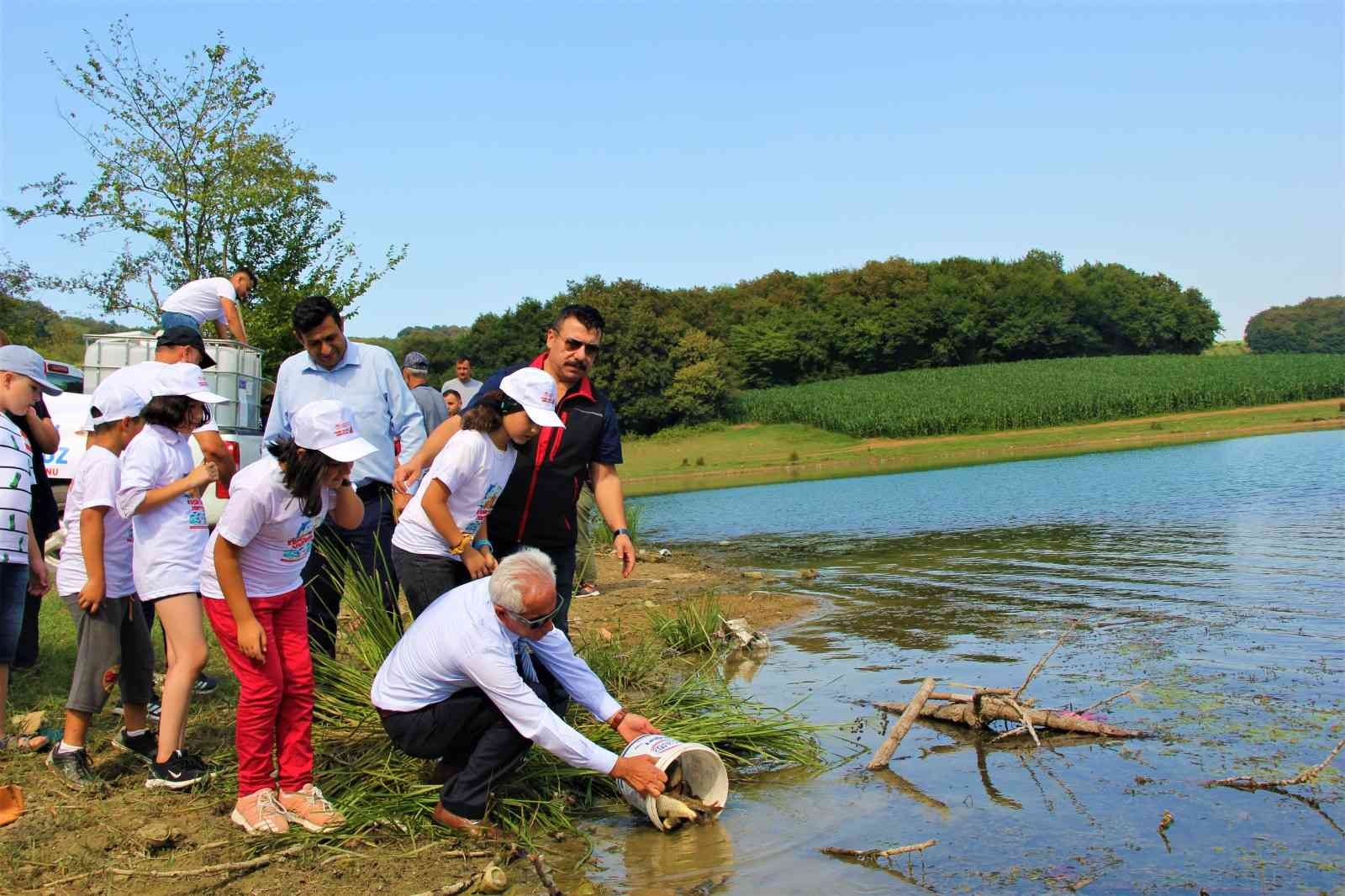 Bolu’da yetiştirilen sazanlar Sakarya’da suyla buluşturuldu