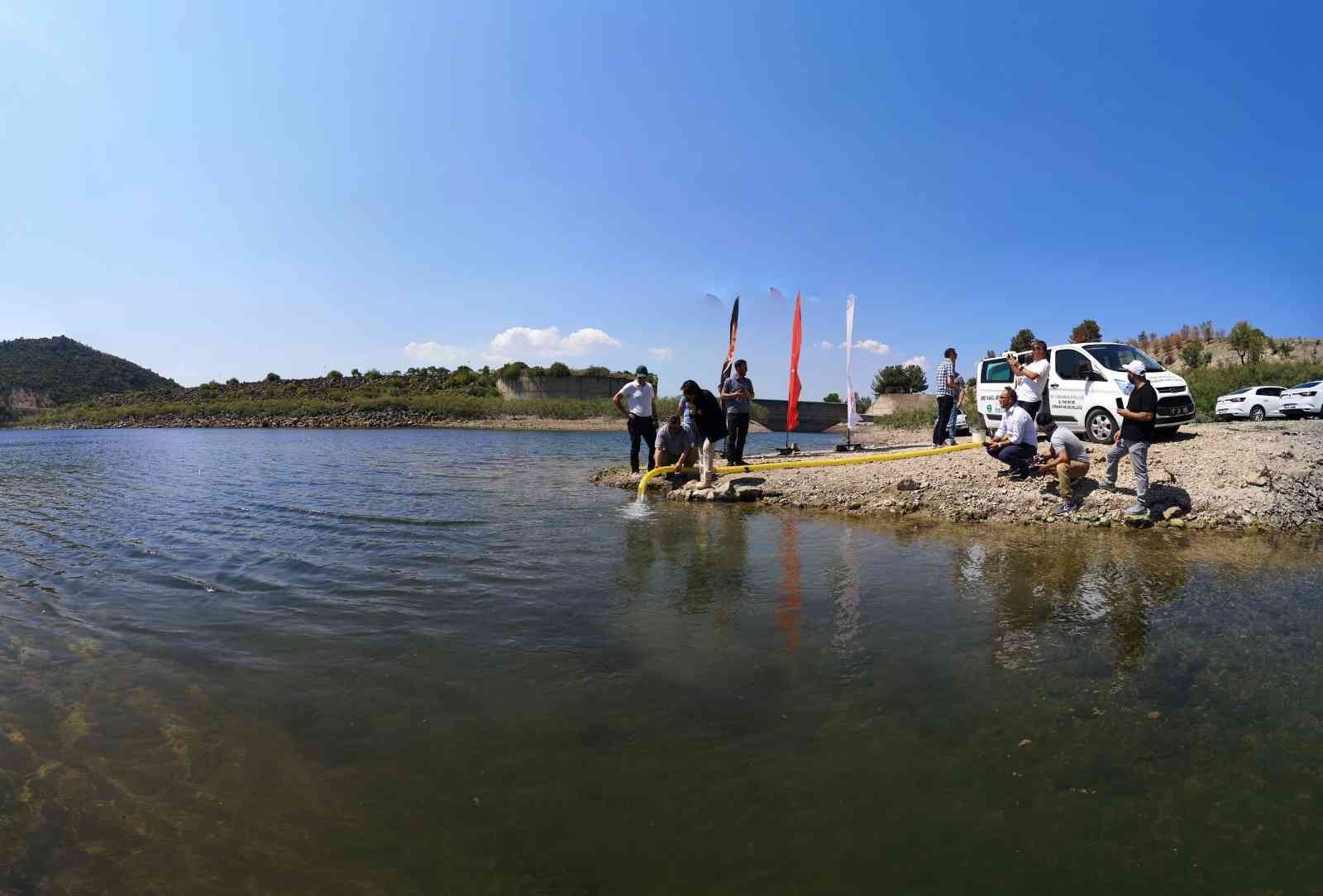 Çanakkale’de baraj ve göletlere 1 buçuk milyon sazan balığı yavrusu bırakıldı