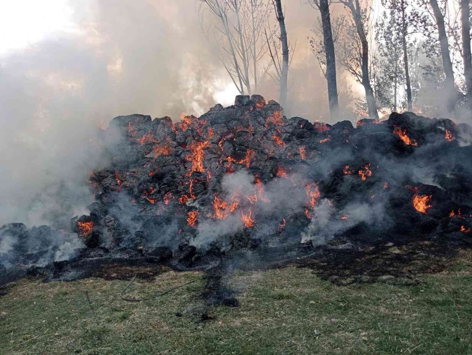 Pasinler’de ot yangını