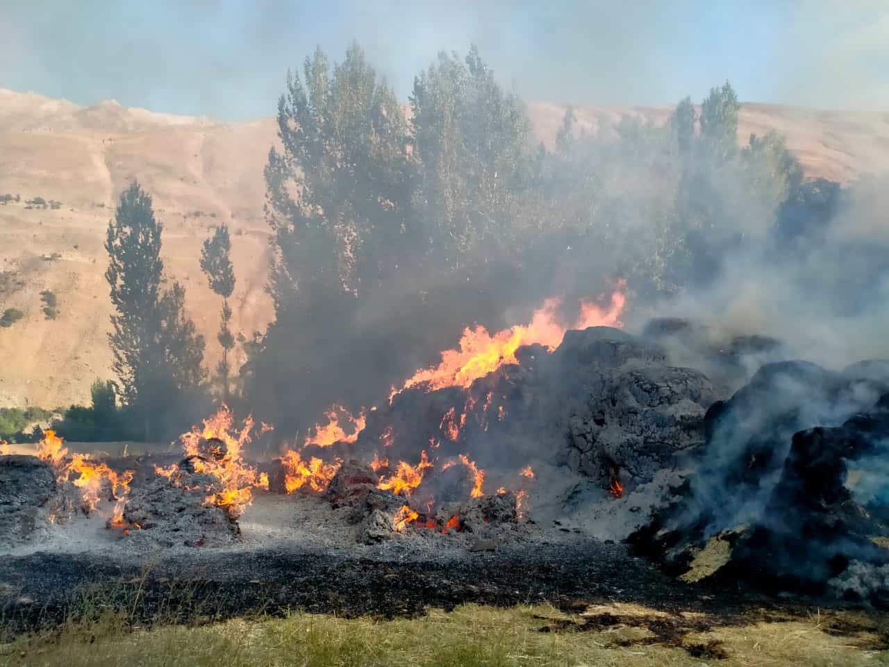 Çatak’ta tonlarca saman ve ot yandı