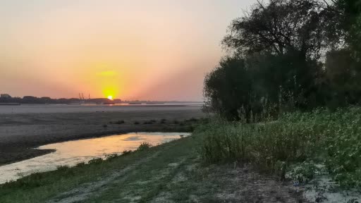 Romanya’daki Tuna Nehri’nde son yılların en düşük su seviyesi