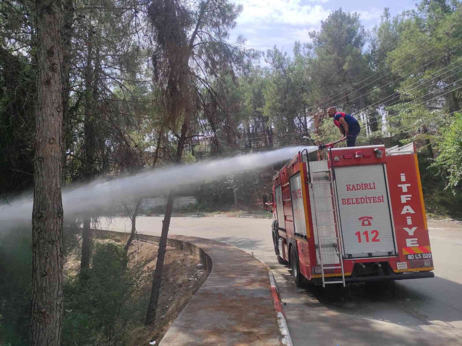 Kadirli’de çamlık alanda çıkan yangın büyümeden söndürüldü