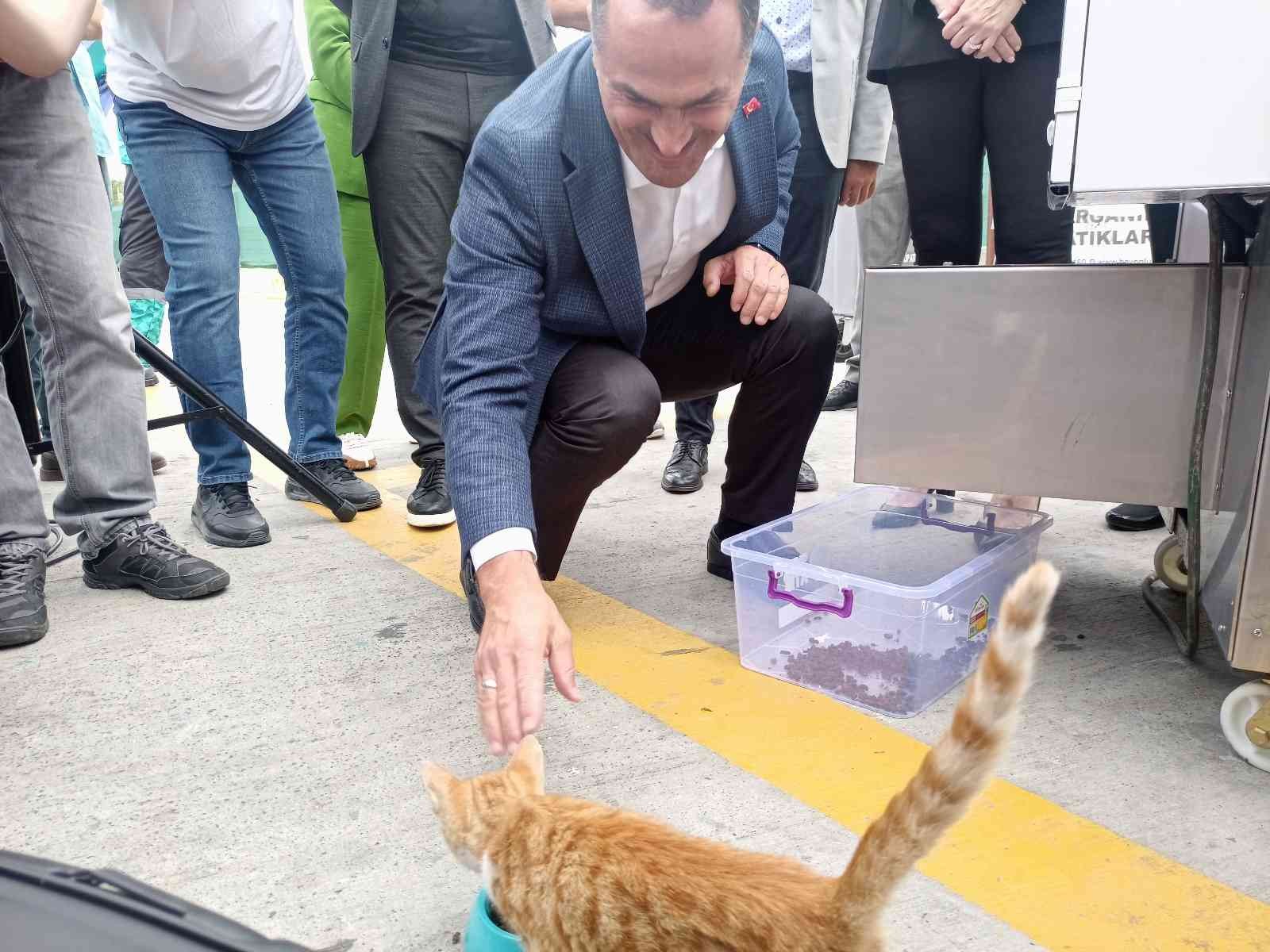 Beyoğlu’nda bir ilk: Gıda ve yemek artıkları hayvan mamasına dönüştürülecek