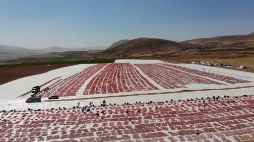 Bitlis’ten Amerika ve Avrupa’ya kurutulmuş domates