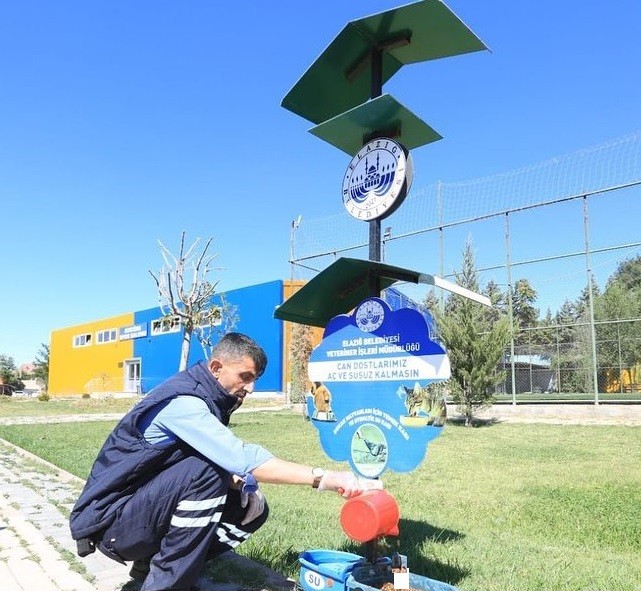 Elazığ Belediyesi sokak hayvanlarını unutmadı