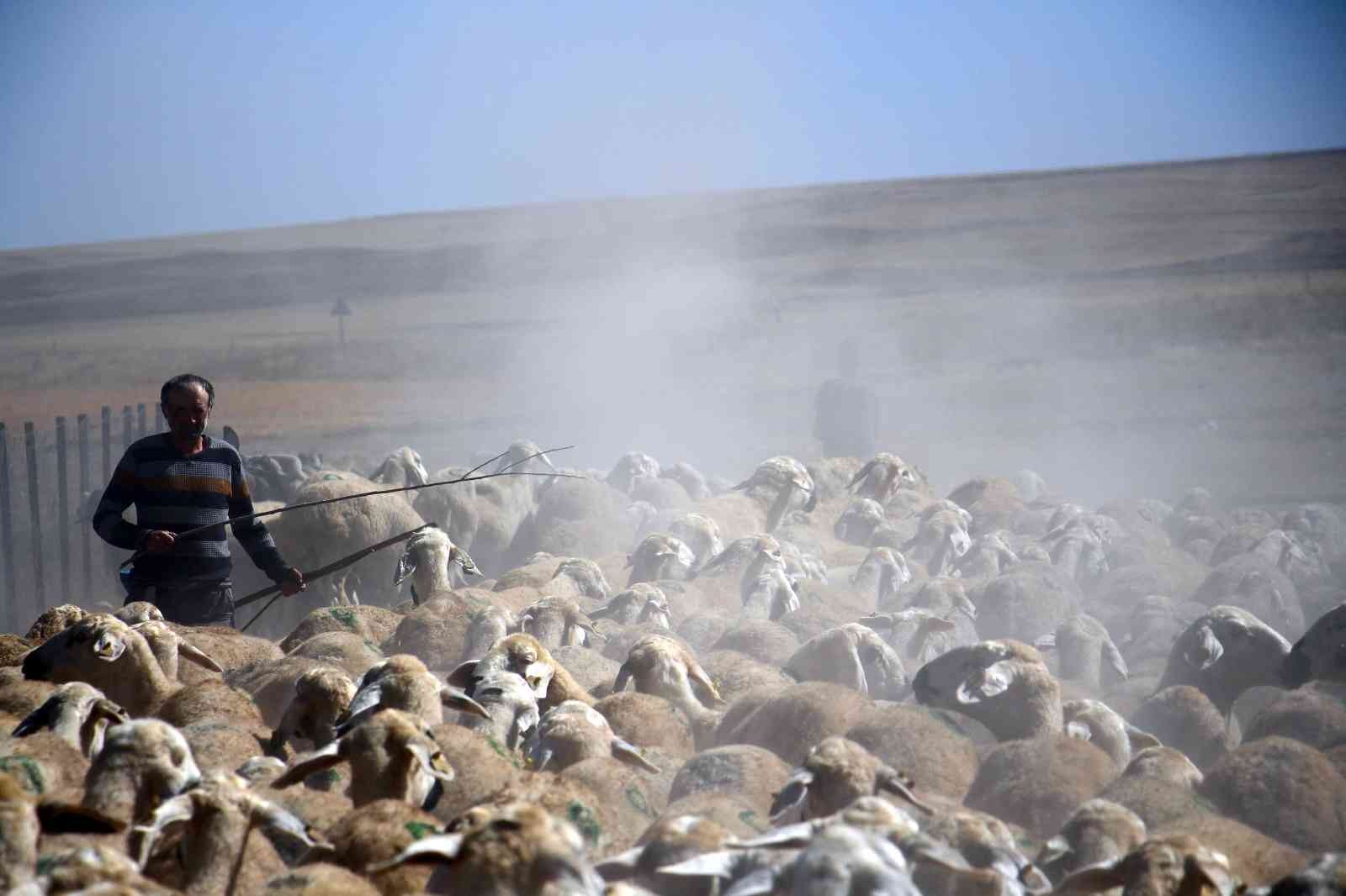 Suya ulaşmak için 15 kilometrelik tozlu yolculuk