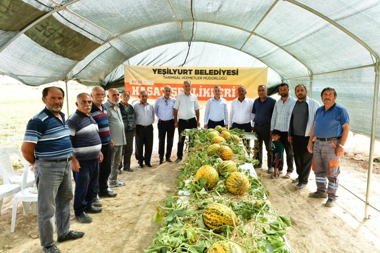 Başkan Çınar,  kavun hasadına katıldı